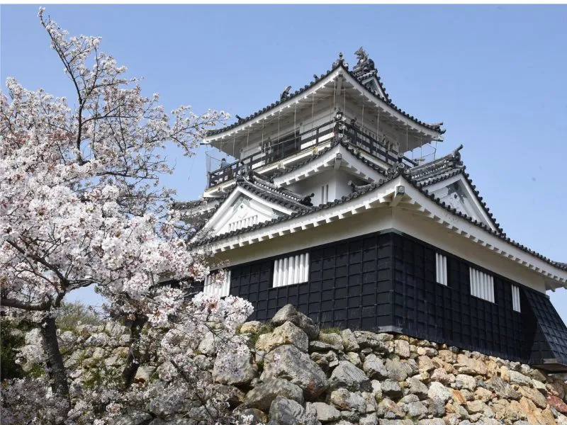 hamamatsu
