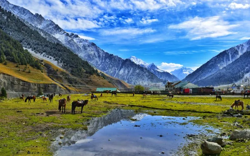 pahalgam