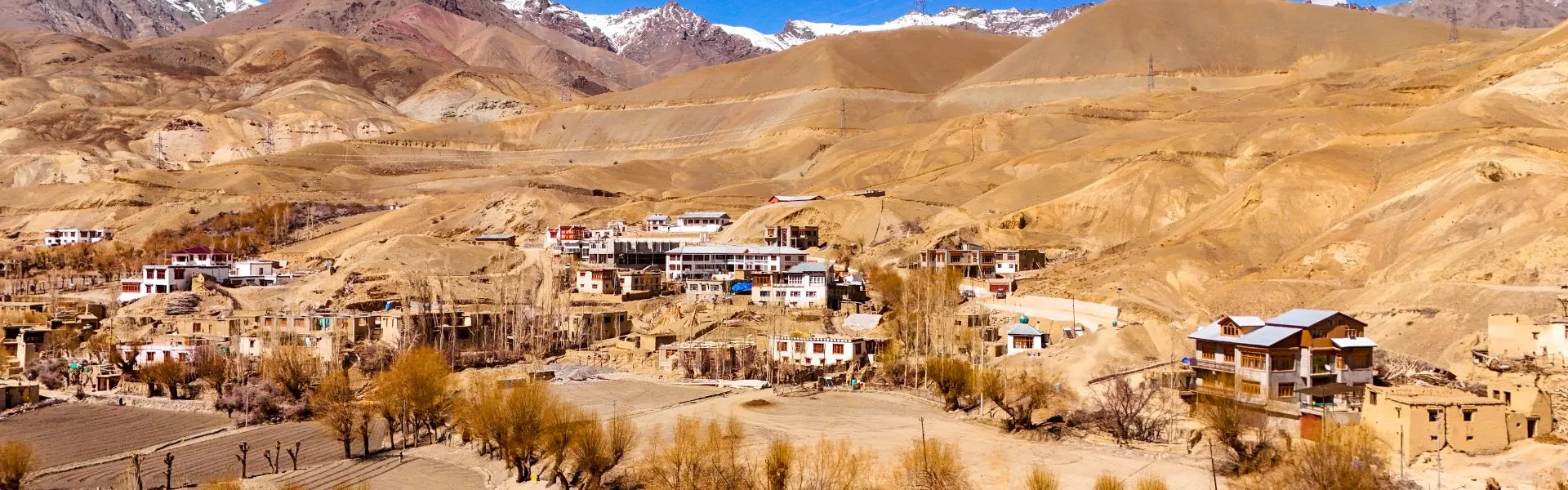 hanle